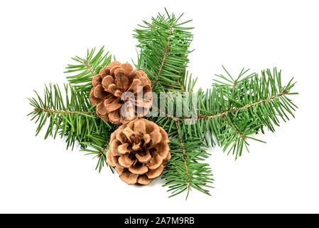 Pine cones with Christmas tree branch on a white background Stock Photo