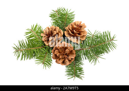 Pine cones with Christmas tree branch isolated on a white background. Holiday ornament design element Stock Photo