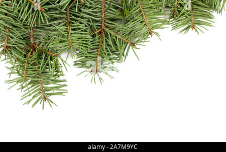 Christmas fir tree frame with copy space. Design element Stock Photo
