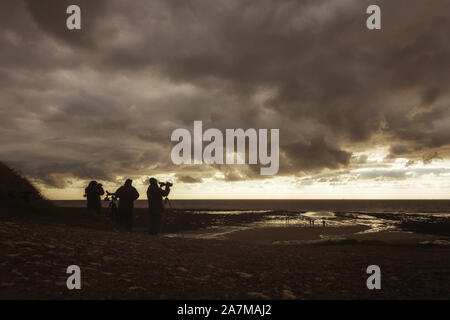 Birdwatchers using telescopes and binoculars stand at the shore of South Landing birdwatching looking over the North Sea, Flamborough, UK Stock Photo
