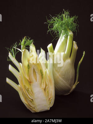 a oganic fennel on a black background Stock Photo