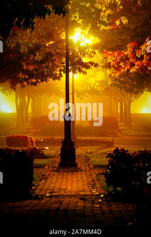 Foggy Morning with Lamppost and Yellow Lights Stock Photo