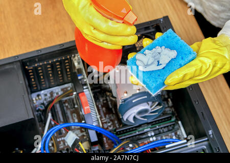 A cleaning lady in yellow protective gloves applies the cleanser to the washing sponge to clean the components inside the personal computer. Dust remo Stock Photo