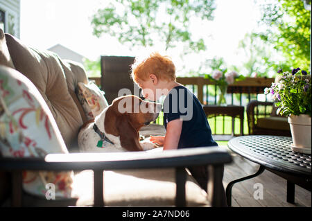 Toddler boy kissing his basset hound dog on the deck in spring Stock Photo