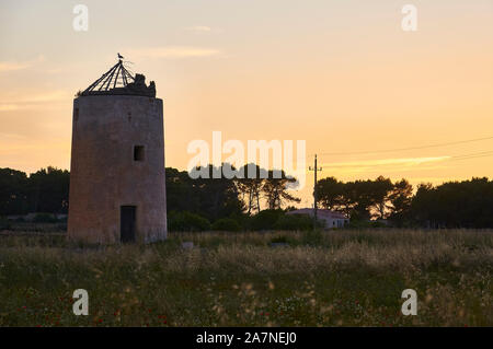 Molí d’en Botigues, an abandoned XIX century antique flour windmill in the countryside near El Pilar de la Mola (Formentera, Balearic Islands, Spain) Stock Photo