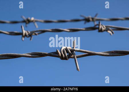 Barbed wire fence. Stock Photo