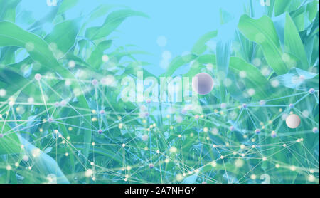 smart agriculture concept with machine, deep learning, neural network technology, the artificial intelligence network in smart farm to disrupt Stock Photo