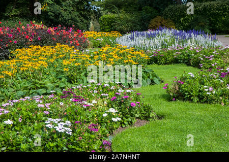 Perennial bed and annual plants in a backyard garden ...