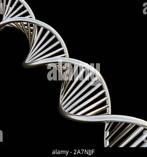 DNA chain spiral in brushed white gold material, isolated on black background, concept of genetic engineering, research, 3d rendering, 3d illustration Stock Photo