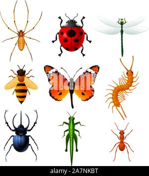 9 Colorful insects icons, with Ladybug, Bee, Dragonfly, Ant