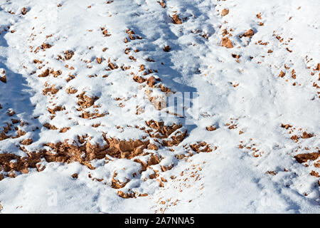 Snow covered richly colored earth on a hillside Stock Photo