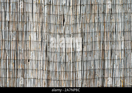 Close-up of old banded with steel wire peeled reed fence . Backyard reed fencing. Yard privacy and security.Natural material fence Stock Photo