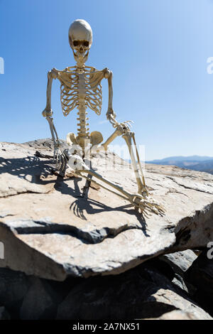 Skeleton sitting on rocks in the desert with a beautiful blue sky Stock Photo