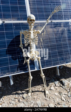 Skeleton leaning on solar panels in the desert Stock Photo