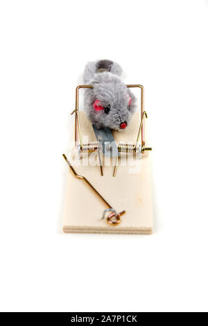 Grey toy mouse prowling around a wood mouse trap Stock Photo - Alamy