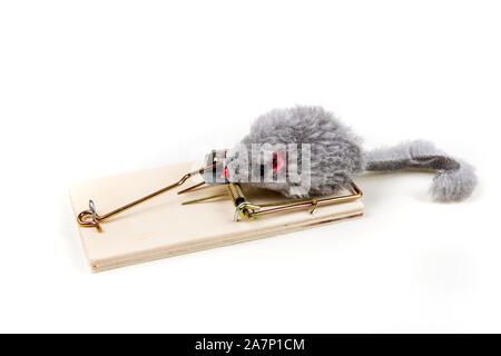 Grey toy mouse prowling around a wood mouse trap Stock Photo - Alamy