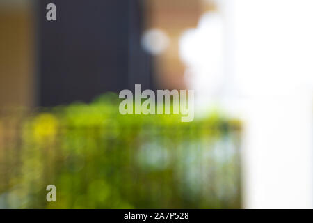 bokeh background bokeh blurry office  green bokeh background Stock Photo