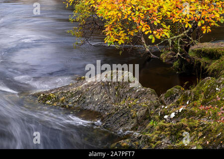 The Afon Llugwy river at Capel Curig, Snowdonia, North Wales Stock Photo