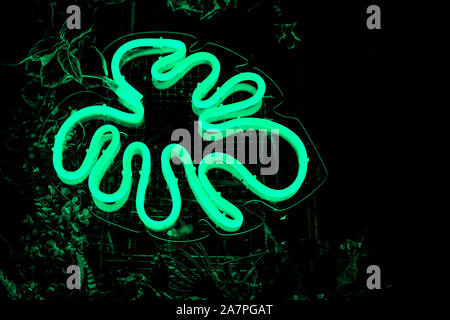 Green neon palm leaf made of LED tube on a black background. Stock Photo