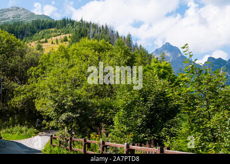 Hrebienok, Stary Smokovec, Vysoke Tatry, Slovakia Stock Photo