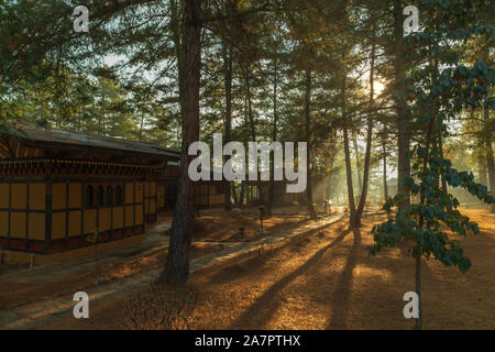 Cabins in a pine-tree forest in the Paro Valley in Bhutan Stock Photo