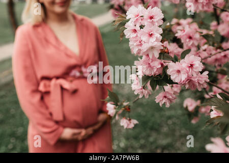 Beautiful pregnant women in pink outfit photographed next to blossom tree in the spring. close up photo of her belly and no face shown. Stock Photo