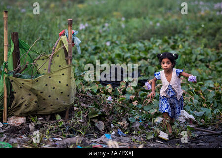 DHAKA, BANGLADESH - NOVEMBER 03 : A child collect Water hyacinth flower near Buriganga river in Dhaka, Bangladesh on November 03, 2019. Stock Photo