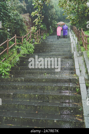 senior couple in colorful raincoats is going upstairs on rainy day Stock Photo