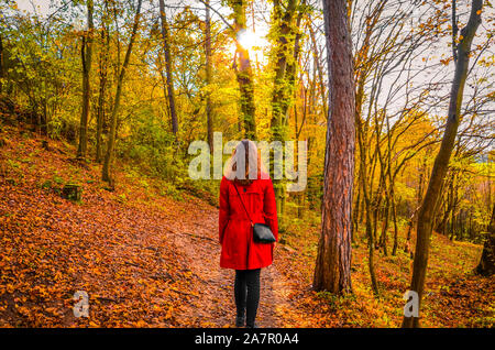 Beautiful Caucasian woman in a red coat posing in the colorful autumn forest. Sun shining through the trees. Fall fashion, colors, and style. Autumn fashion trends. Little Red Riding Hood concept. Stock Photo