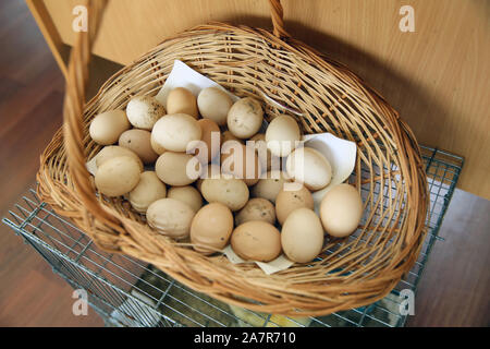 eggs in a wicker basket . Easter eggs.White eggs in basket.Closed up . Yellow and white egg yolk . Basket of white eggs on wooden table . Stock Photo