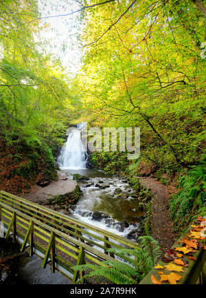 Glenoe Waterfall in Autumn County Antrim, Northern Ireland Stock Photo