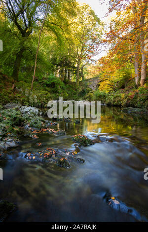 Tollymore Forest Park in Bryansford Northern Ireland