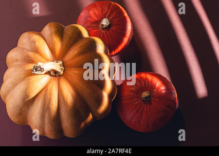 Stock photo of a pumpkin on a brown background with place for text. Varietal seasonal pumpkins. Stock Photo