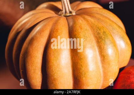 Stock photo pumpkin close-up, assorted pumpkins. Big and small size pumpkins and different colors, on a brown background. Stock Photo