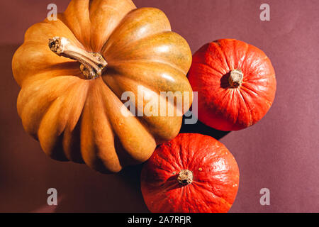 Stock photo pumpkin close-up, assorted pumpkins. Big and small size pumpkins and different colors, on a brown background. Stock Photo