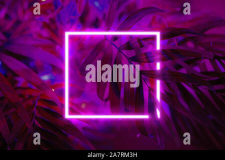 Background made of tropical palm leaves with neon light square. Stock Photo