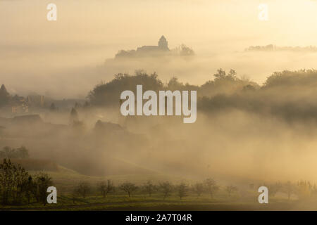 Haze over the vineyards near Gamlitz looking to Ehrenhausen with old fruit trees in the front Stock Photo