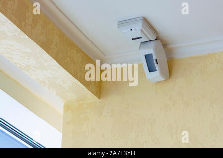 Two sensors on the wall near the window in the office room. Glass break sensor and motion sensor. View from below. Stock Photo