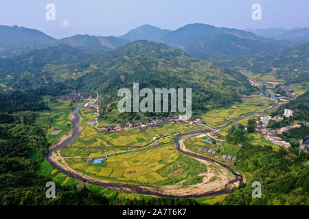 Aerial view of the hybrid rice field in Congjiang county, south-west ...