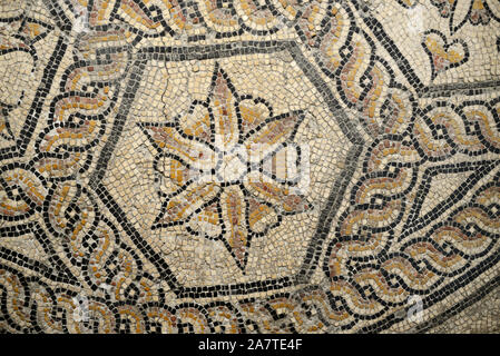 Geometric, Flower and Petals of Roman Floor Mosaic End 1st-2nd AD from Rue Florian Nimes (Musée de la Romanité) Stock Photo