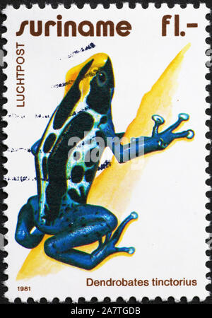 Poisonous frog on postage stamp of Surinam Stock Photo