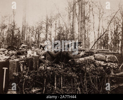 Members of the British Expeditionary Force (BEF) in woodland following Germany's invasion of Belgium on August 4th 1914, the BEF was sent to France to prepare to halt the German advance. It was first engaged in combat at the Battle of Mons at which it was heavily outnumbered and forced to retreat. Stock Photo