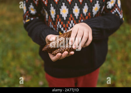 Boy in forest holding pine cones Stock Photo