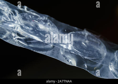 Abstract isolated close-up of polyethylene transportation & packaging shockproofing bubble wrap cross section narrow sheet on black background Stock Photo