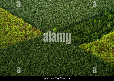 Aerial shot of multicolored spring forests in the Czech Republic Stock Photo