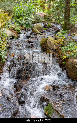 Arkansas Ozark mountain waterfall in spring Stock Photo