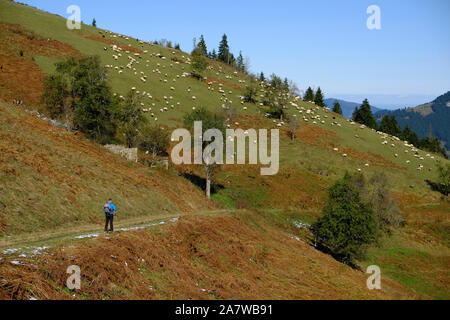 trabzon province Maçka district Kırantaş village ridges of autumn landscape Stock Photo