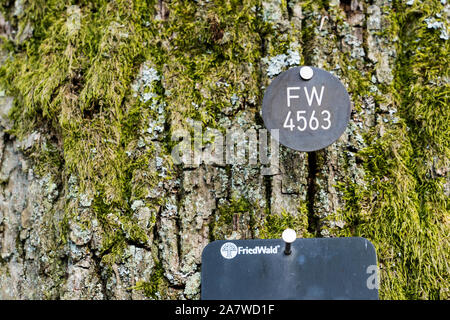 A natural burial grave site, Hofgeismar, Weser Uplands, Weserbergland, Hesse, Germany, Europe Stock Photo