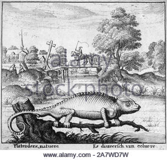The Chameleon, one of Aesop's Fables, etching by Bohemian etcher Wenceslaus Hollar from 1600s Stock Photo