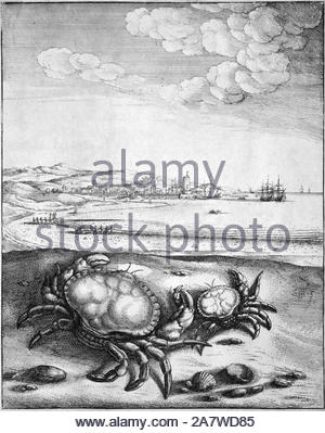 The Crab and its Mother, one of Aesop's Fables, etching by Bohemian etcher Wenceslaus Hollar from 1600s Stock Photo